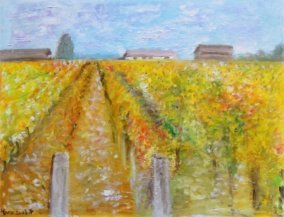 Sarments de vigne en Bourgogne